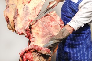 Meat Cut Spec Step 10